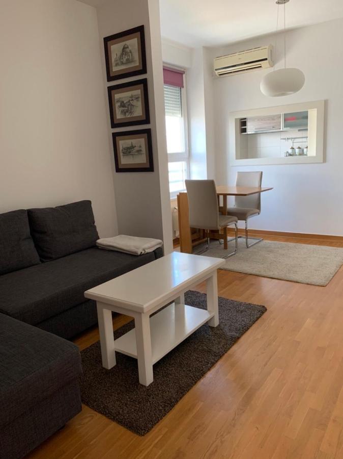 Apartmán Apartman Dream Belvil Bělehrad Exteriér fotografie